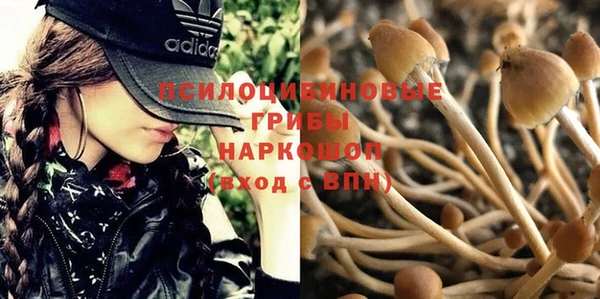 гашишное масло Баксан