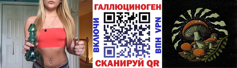 Псилоцибиновые грибы мицелий  наркотики  это клад  Могоча 